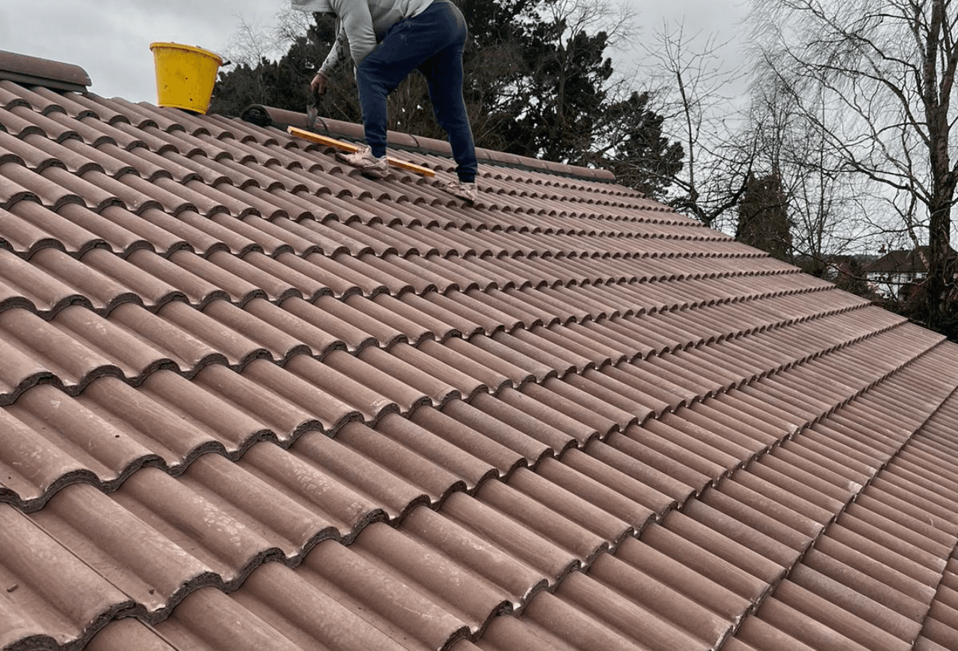 Roof Replacement